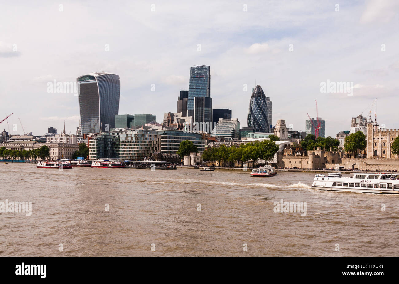 A view of the London skyline looking over the Thames from the South Bank featuring,the Gherkin,Walkie Talkie and Cheesegrater Stock Photo