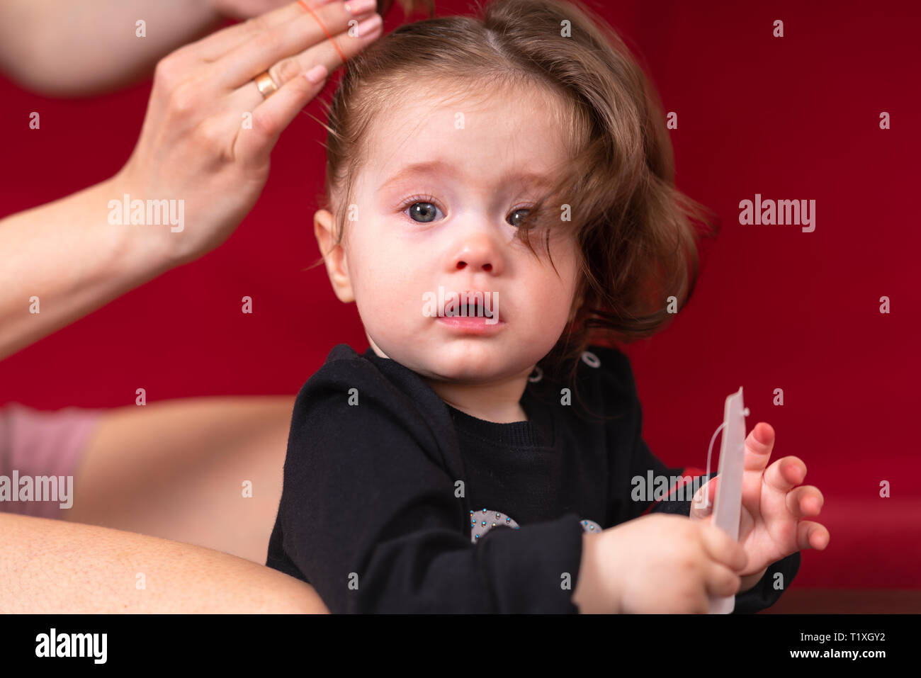 Woman hands braiding young baby girls brown hair. Close-up child portrait against red background Stock Photo