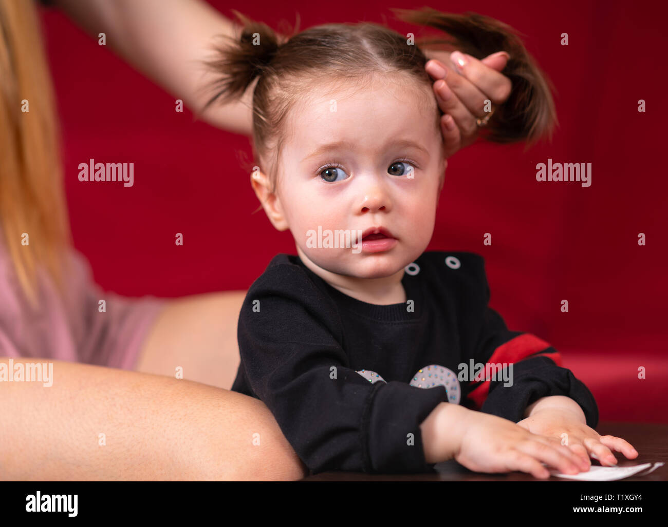 Young mother tying up her little daughters hair into pigtails in a close up view on the kids head and shoulders Stock Photo