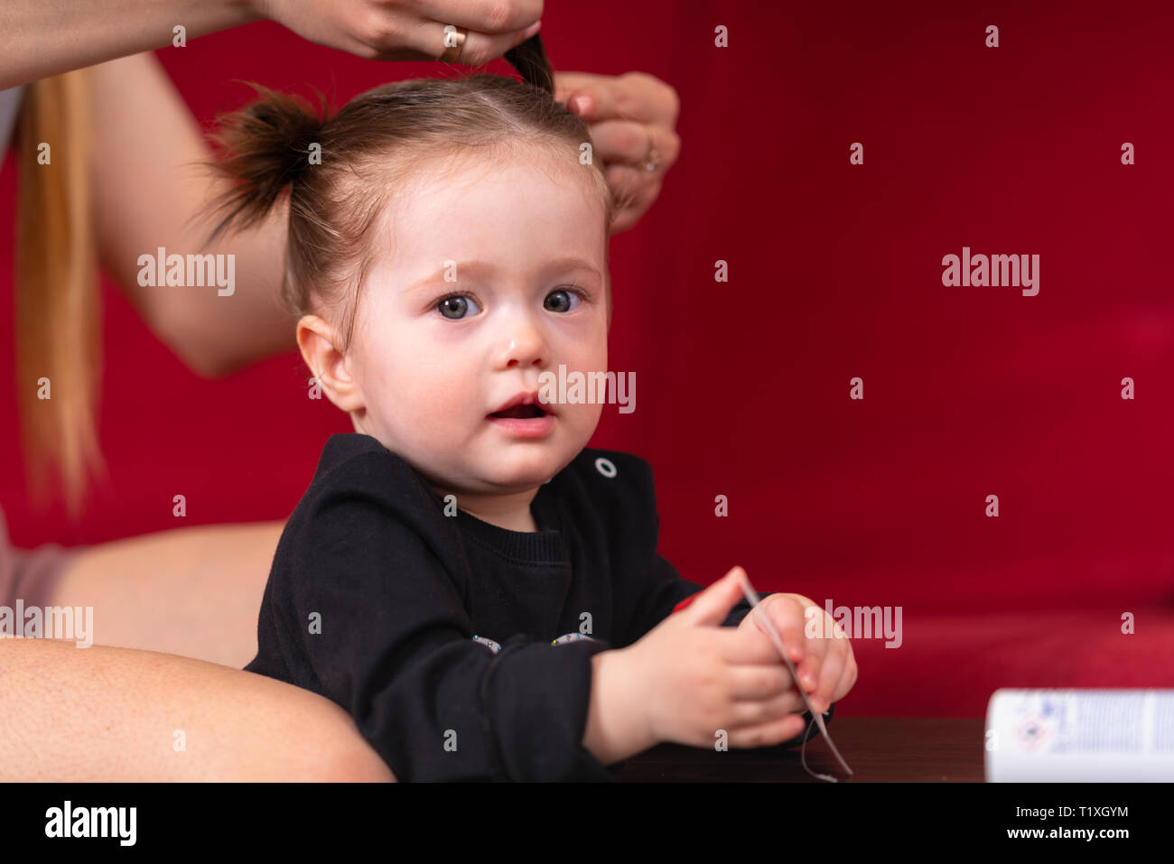 Mother braids her young daughters hair at home, against red background. Little cute baby girl in black shirt looking at camera. Close-up portrait with Stock Photo