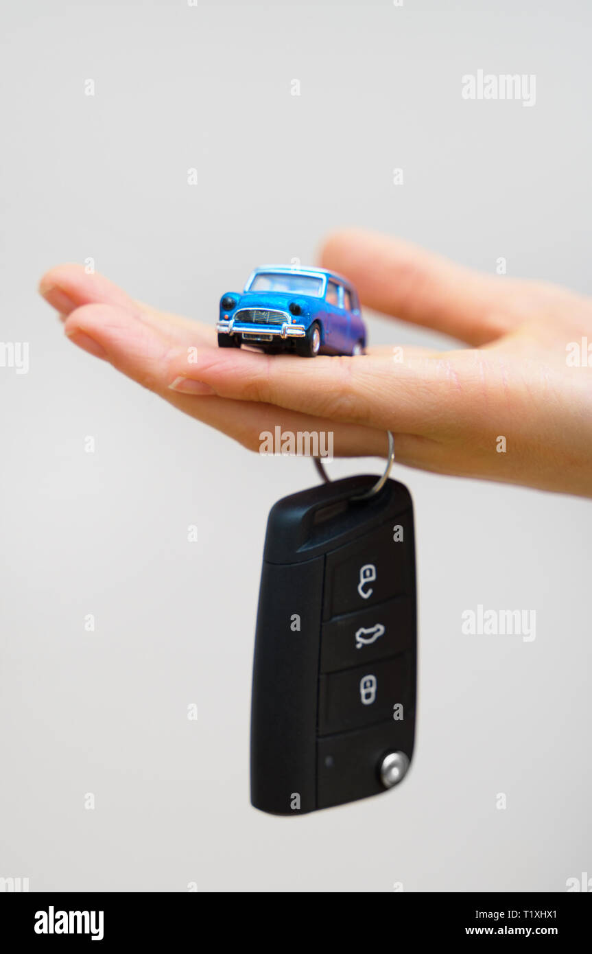 toy phone keys and remote