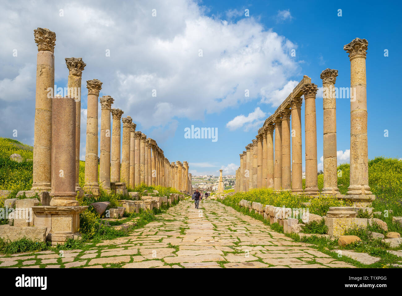 Colonnaded Street at Jerash, Amman, Jordan Stock Photo