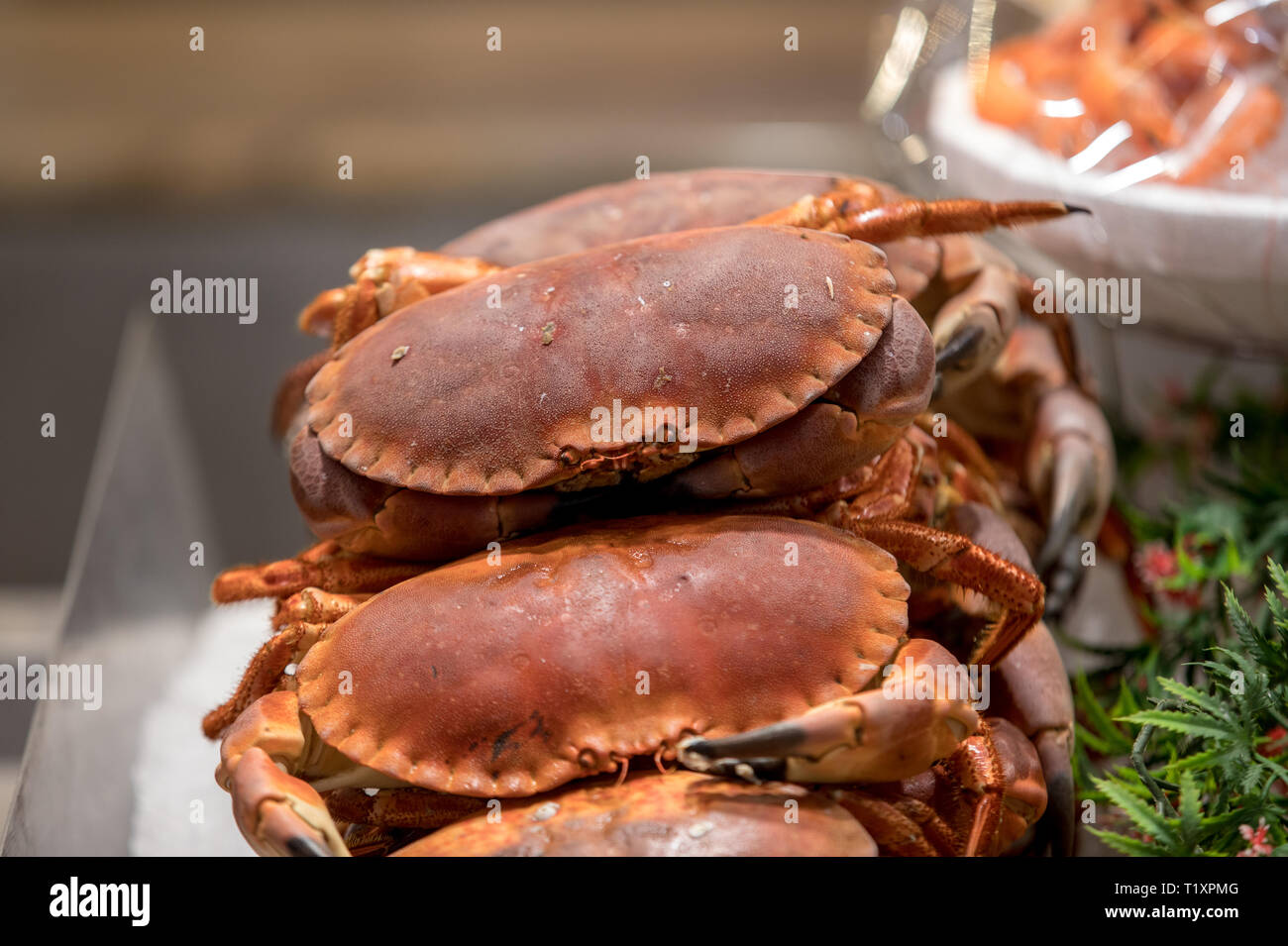 French Crabs High Resolution Stock Photography and Images Alamy
