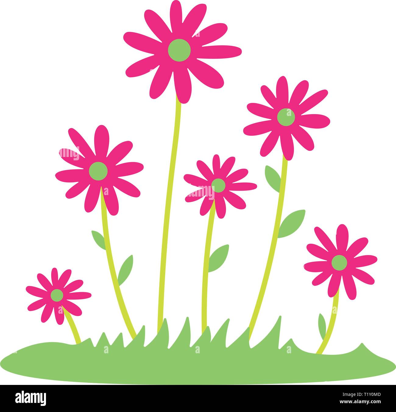 https www alamy com colorful spring daisy flowers vector illustration grass and wild flowers isolated background spring grass border with early spring flowers and image242153085 html