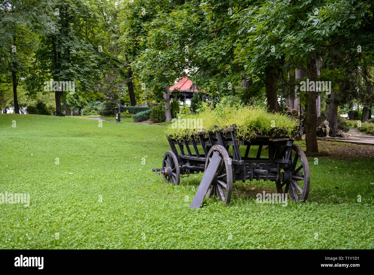 Rustic and old cart with plants on a public park Stock Photo Alamy