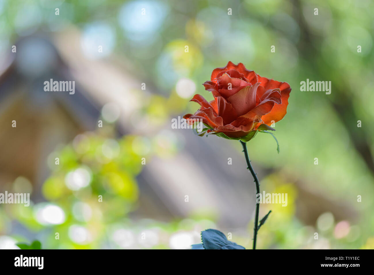 fake red rose against bright background Stock Photo Alamy