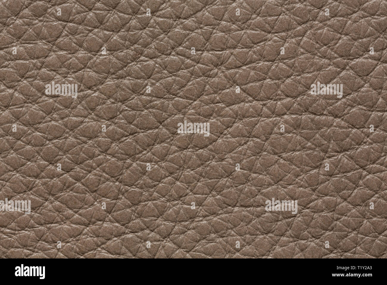 Impressively leather texture in stylish grey tone. Stock Photo