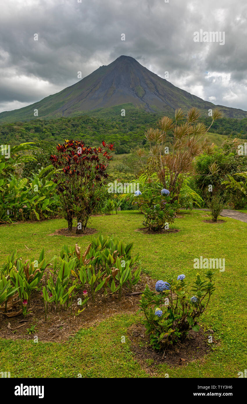 Mountain peak of the Arenal volcano with dramatic clouds and an ornamental flower garden in the foreground, La Fortuna, Costa Rica, Central America. Stock Photo