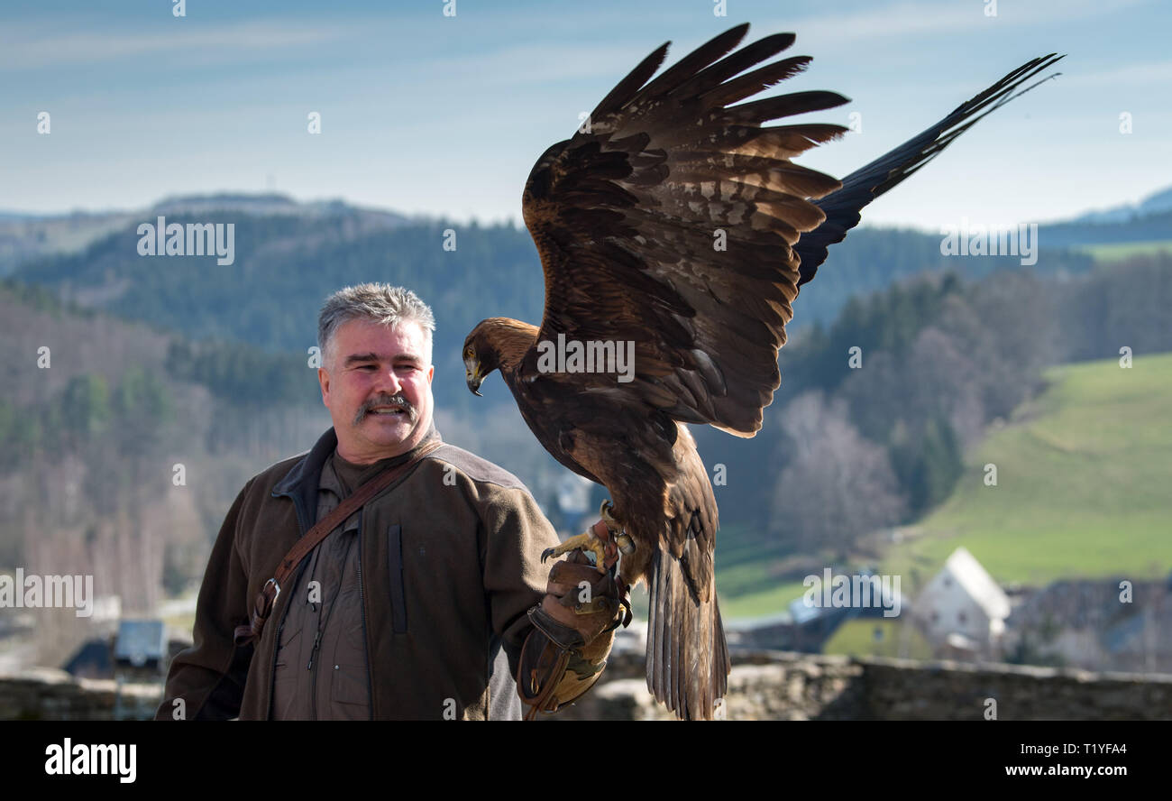 29 March 2019, Saxony, Wolkenstein: Michael Löbel, falconer, holds a golden eagle on his arm in the falconry at the castle in Wolkenstein. Falconry is considered an example of a millennia-old cultural form and living tradition of immaterial cultural heritage that has been included on the Unesco list of the immaterial cultural heritage of mankind. The Free State of Saxony is now again calling on associations and sponsoring groups to apply for the Intangible Cultural Heritage. The fourth application round for the nationwide directory will start on 1 April. Important cultural forms for Saxony suc Stock Photo