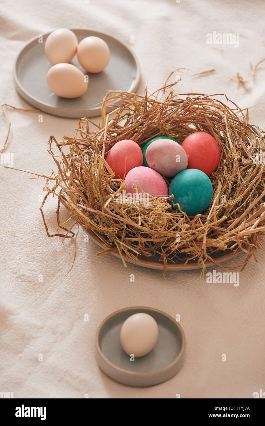 Easter eggs in nest on white background Stock Photo - Alamy