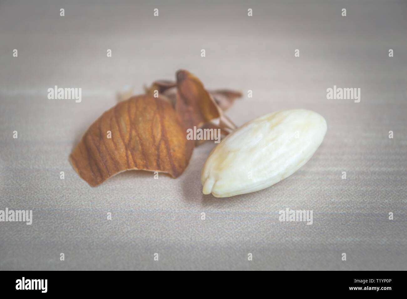 An almond peeled off its skin. White Almond kernel Stock Photo