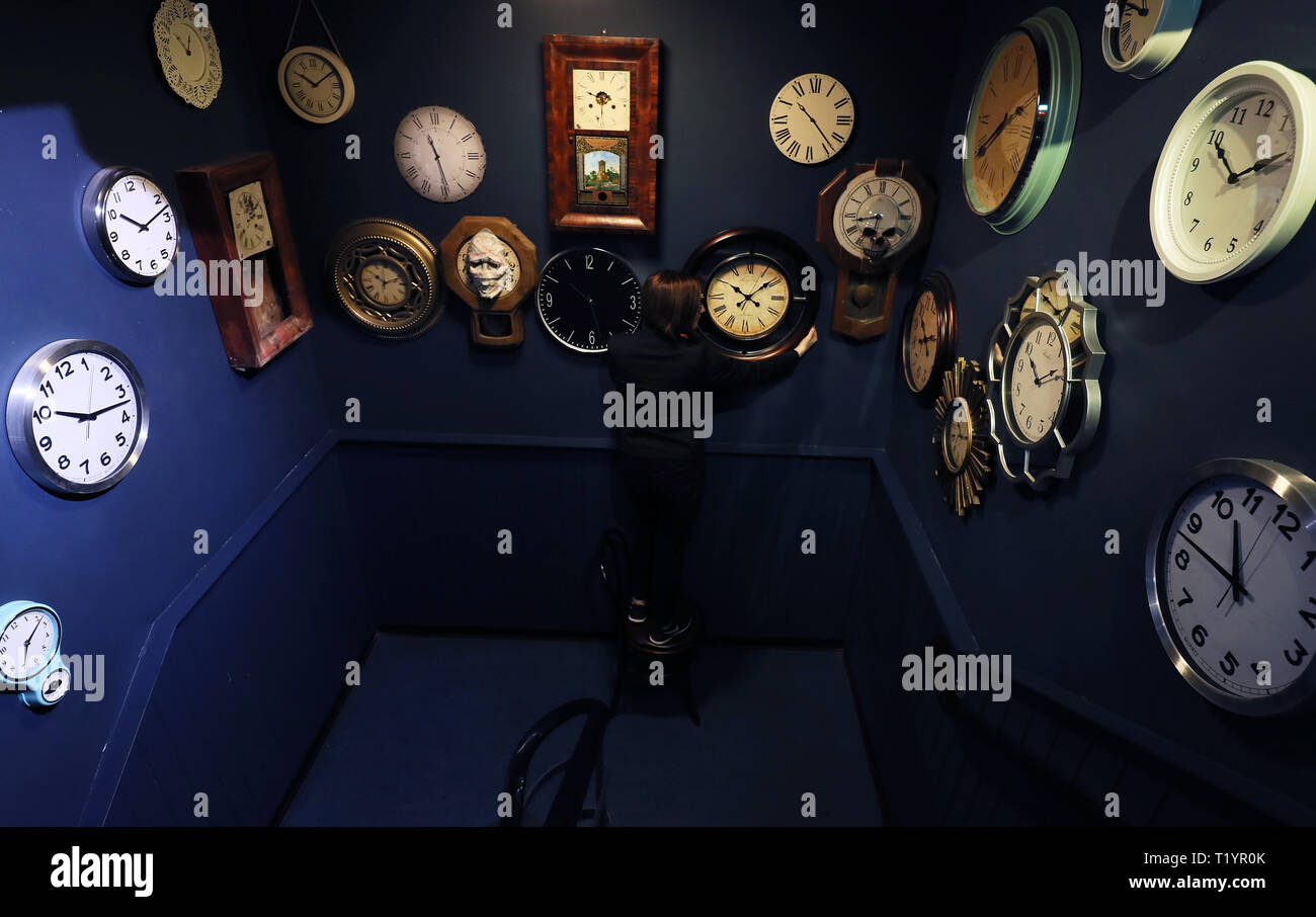 Which takes visitors back in time through irish history hires stock