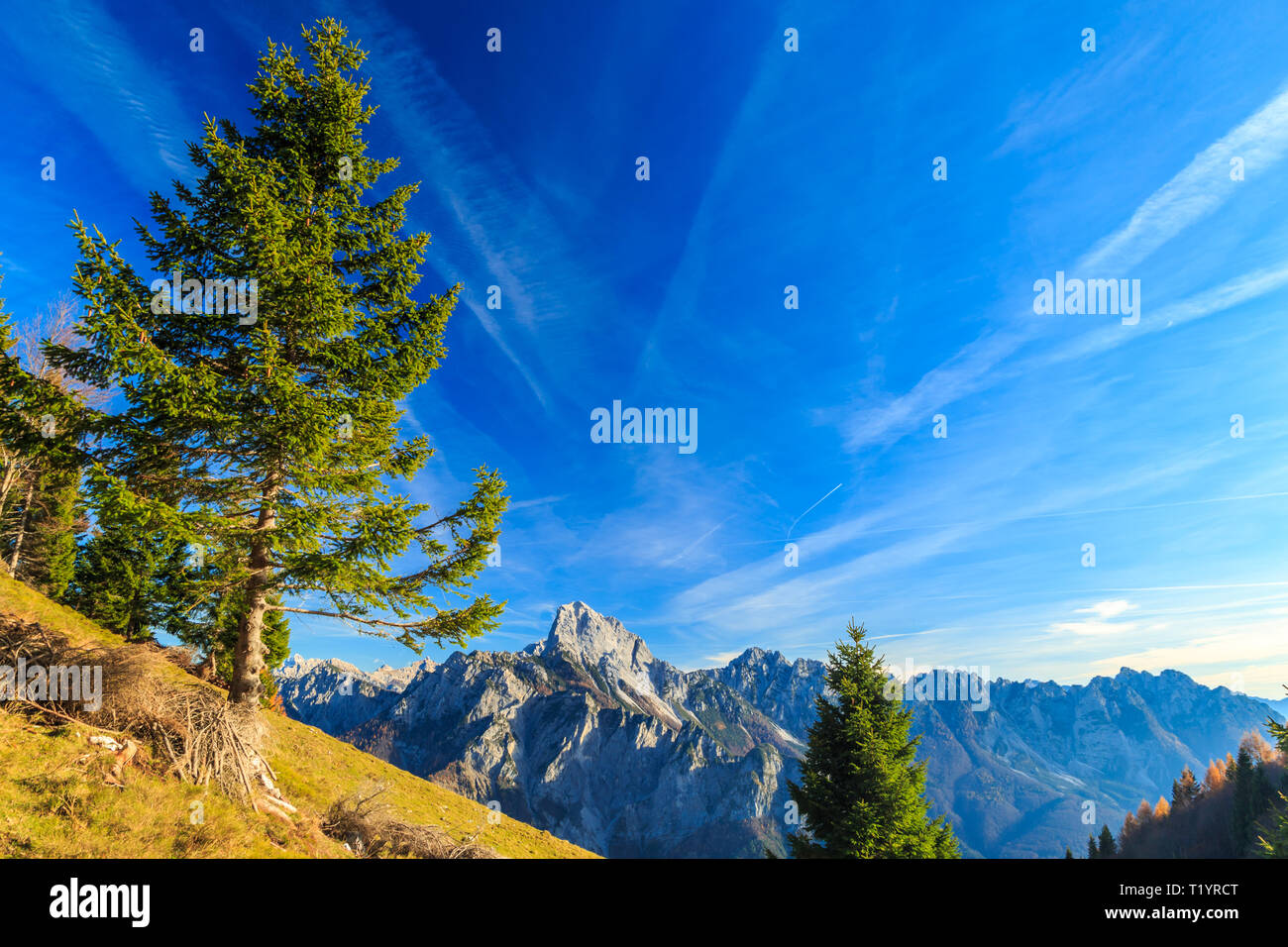 Sunny day in the carnic alps during a colorful autumn Stock Photo - Alamy