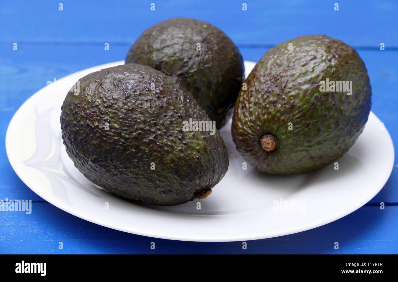 Avocado (Persea americana), lauraceae, avocado pear or alligator pear. Stock Photo