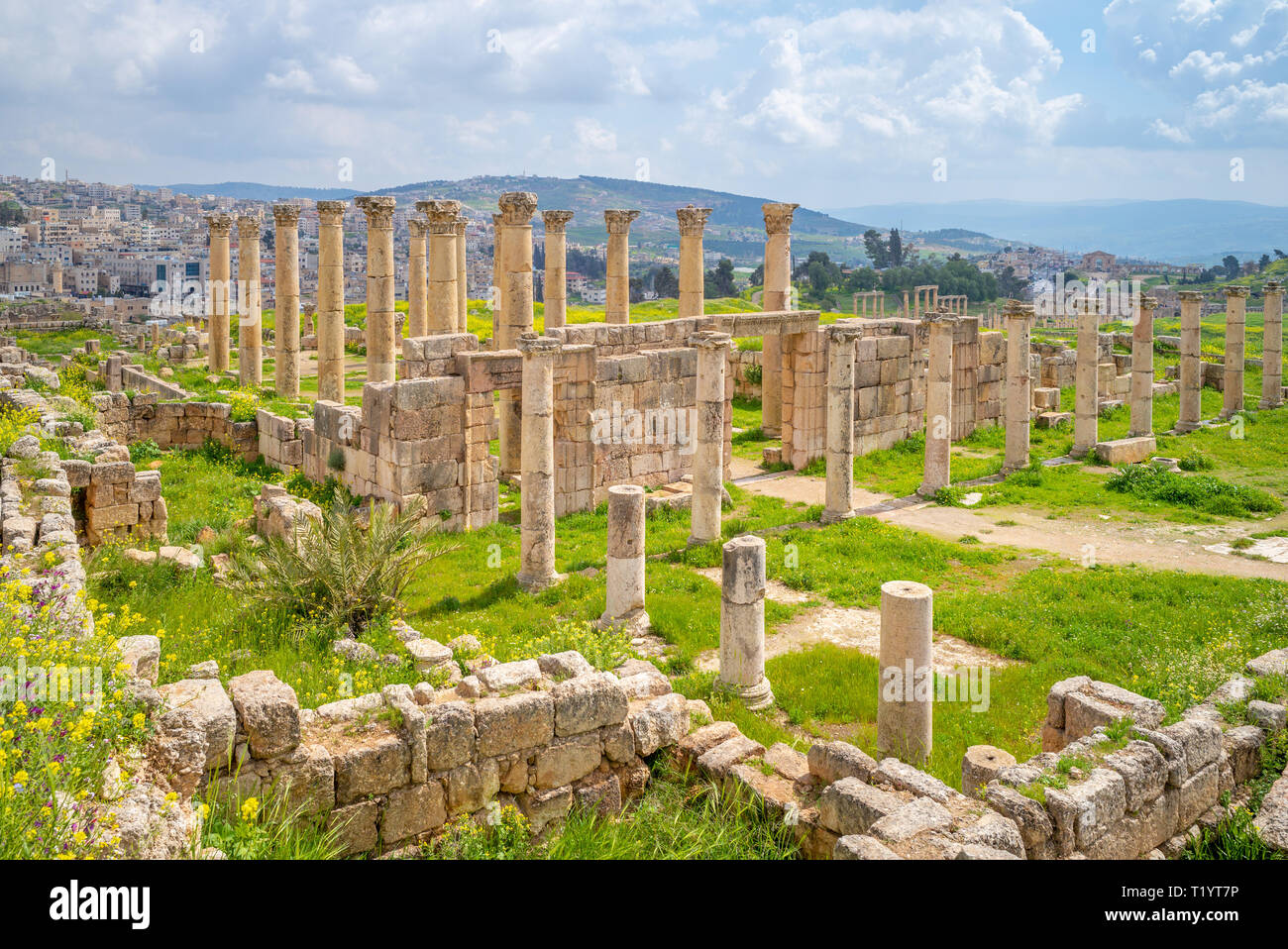 Amman City Tour With Visit To The Ancient City Of Jerash, 57% OFF