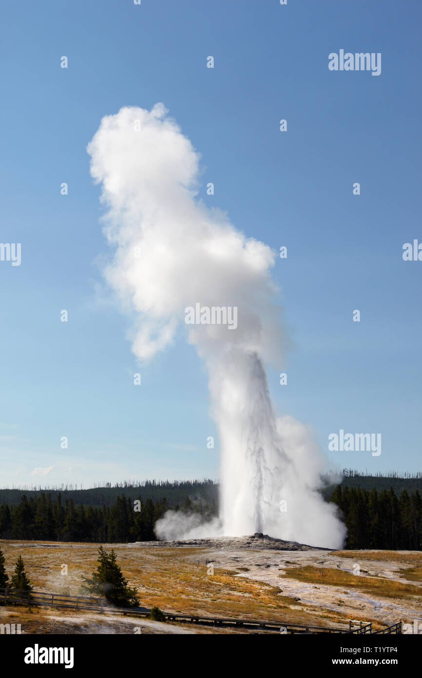 Dont Miss This Yellowstones Mass Animal Exodus Could It Be Eruption Related - vw0okao