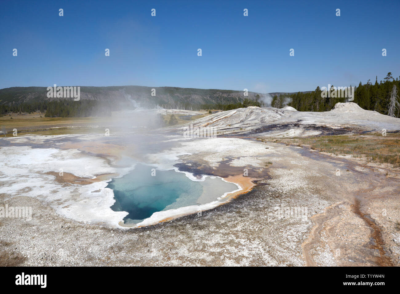 Hot Spring, Yellowstone National Park, America Stock Photo Alamy
