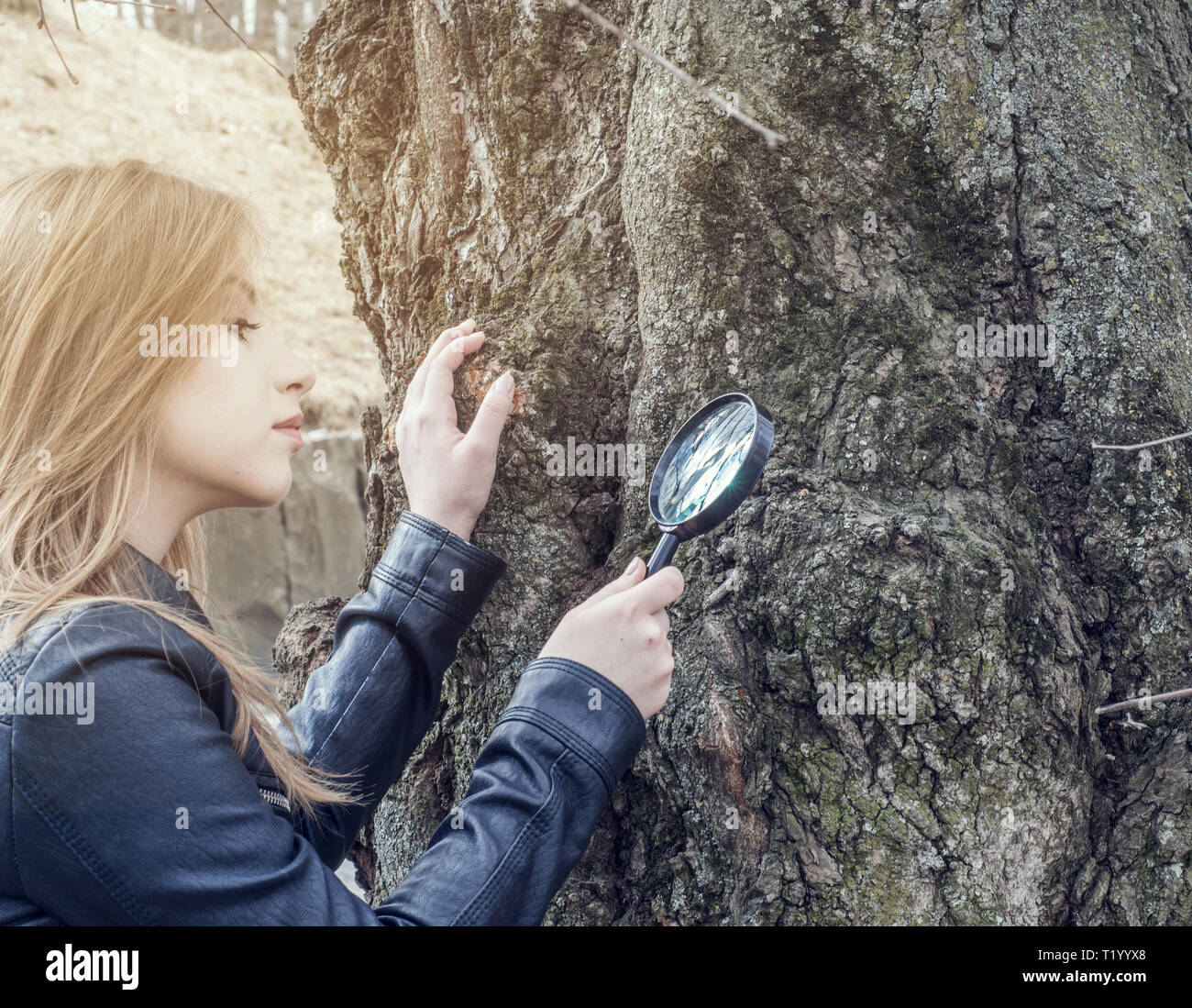 Young girl examines objects on tree bark through a magnifying glass