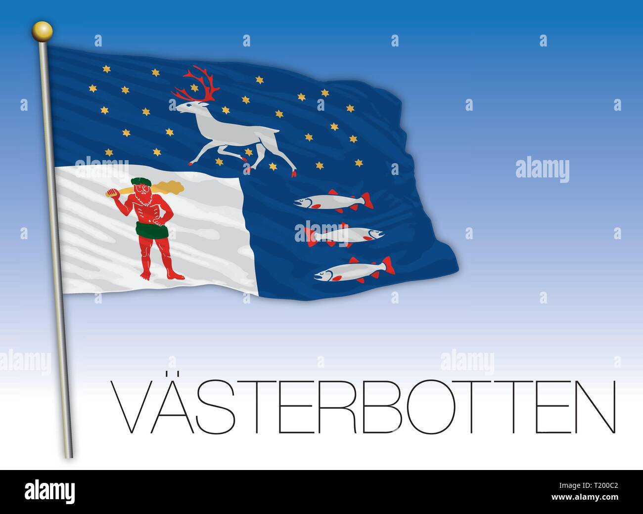 Vasterbotten regional flag, Sweden, vector illustration Stock Vector