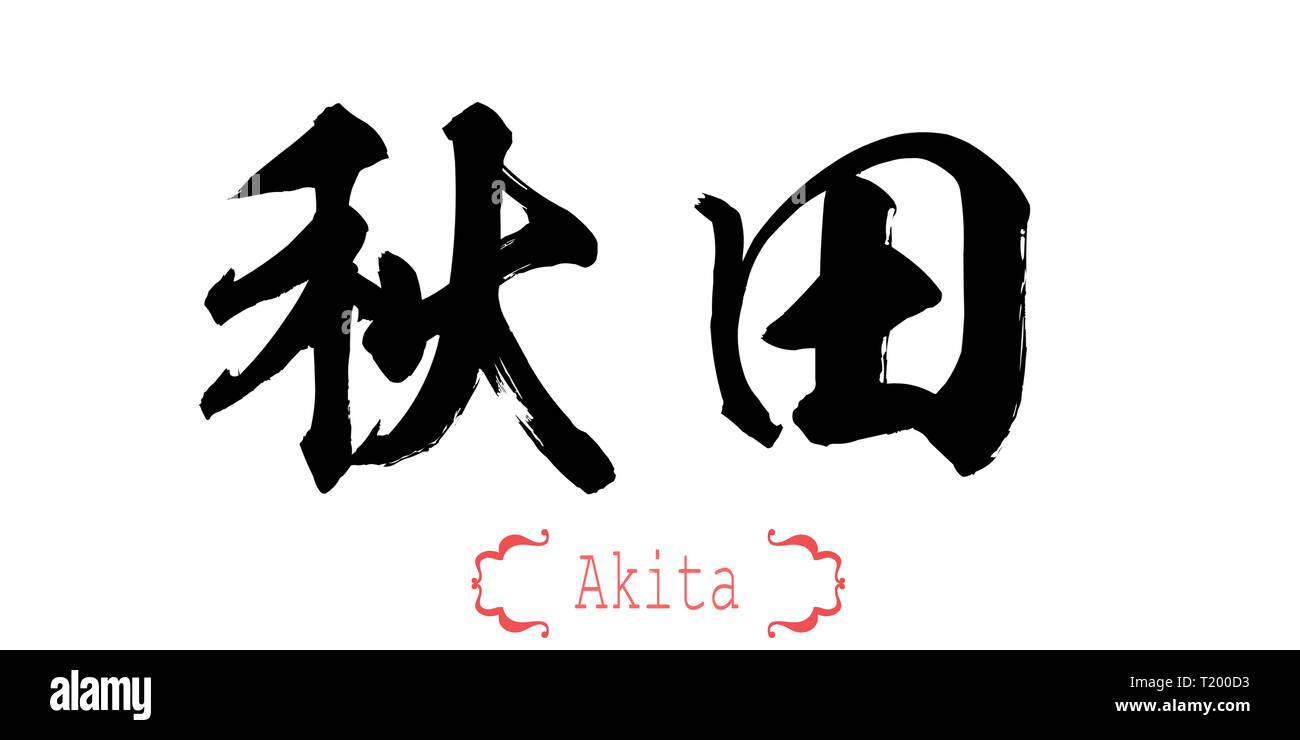 Calligraphy word of Akita in white background. Chinese or Japanese. 3D