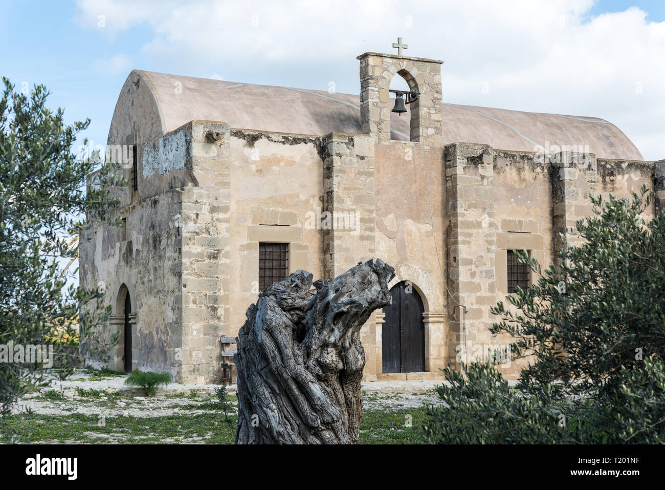 Small churc in Cyprus with beautiful yard filled with old olive trees ...