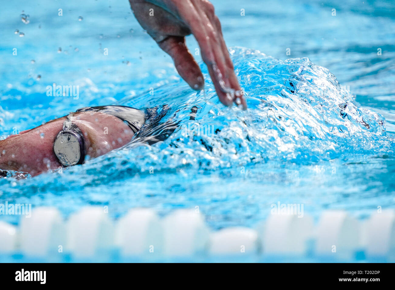 Details with a professional athlete swimming in an olympic swimming pool Stock Photo