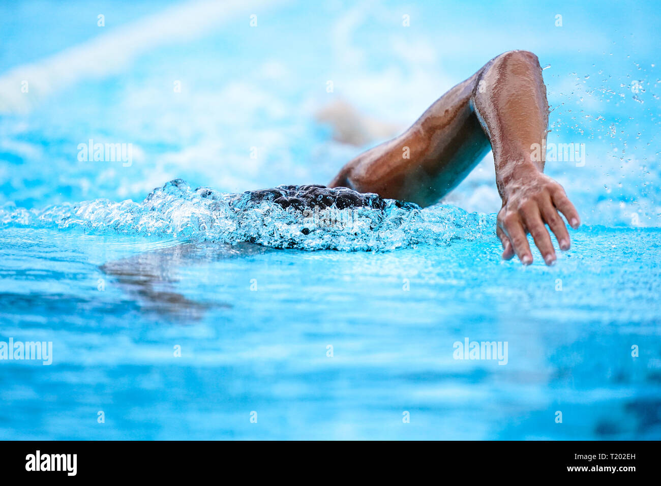 Details with a professional athlete swimming in an olympic swimming pool Stock Photo