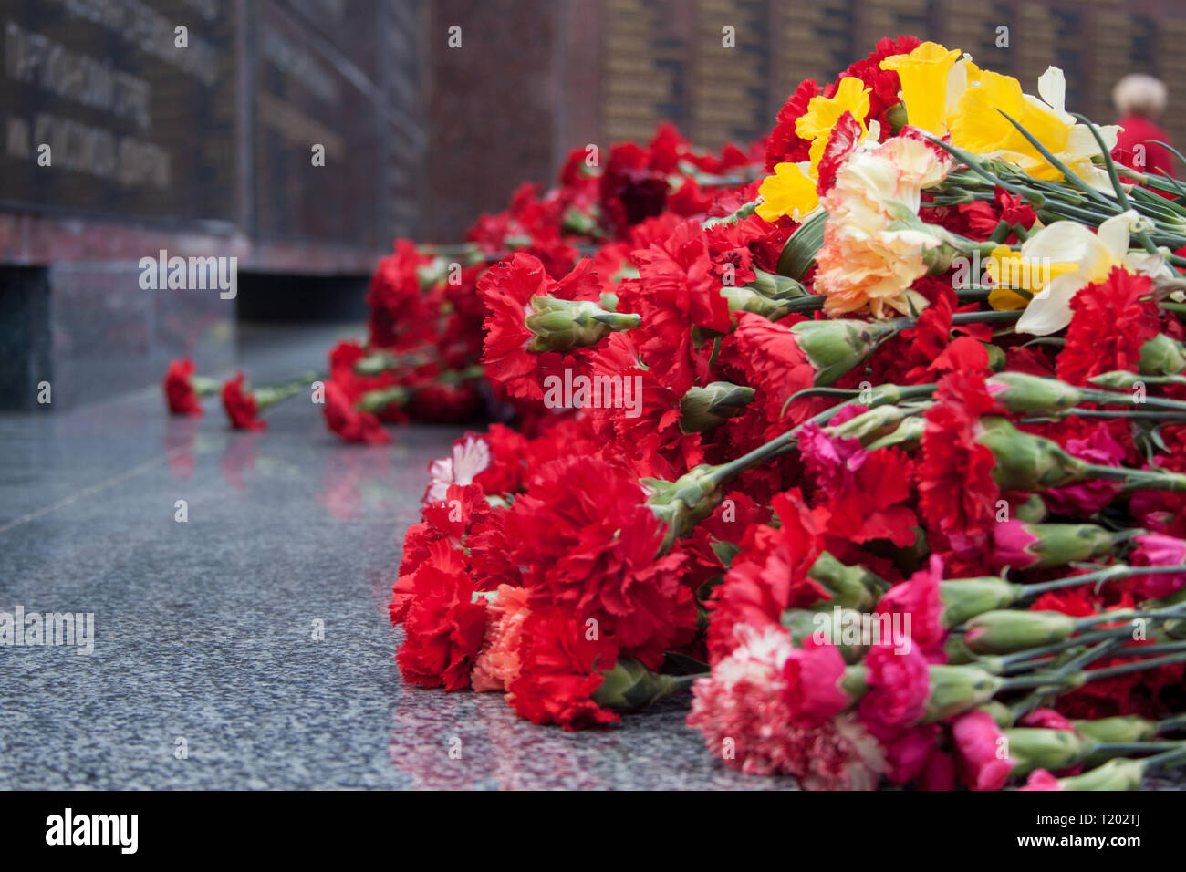 Red carnation flowers at the memorial to fallen soldiers in the world ...