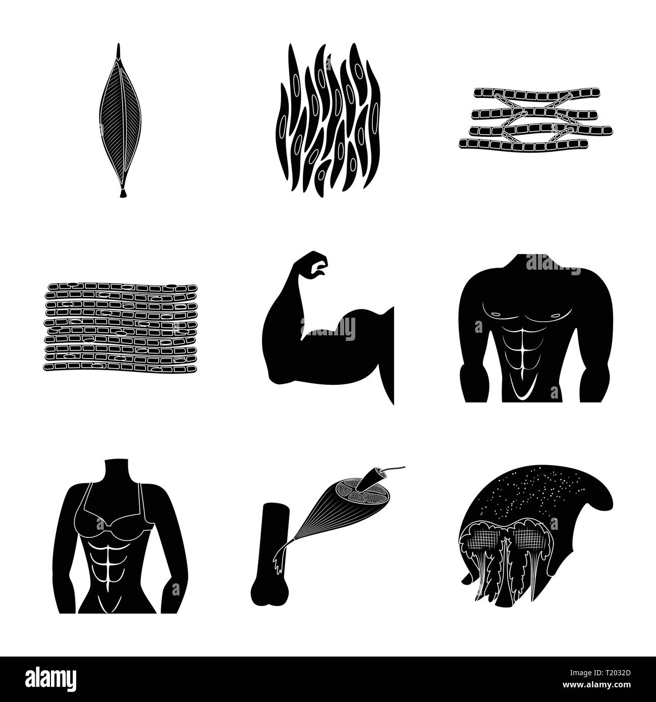 Isolated object of human and body logo. Collection of human and cells ...