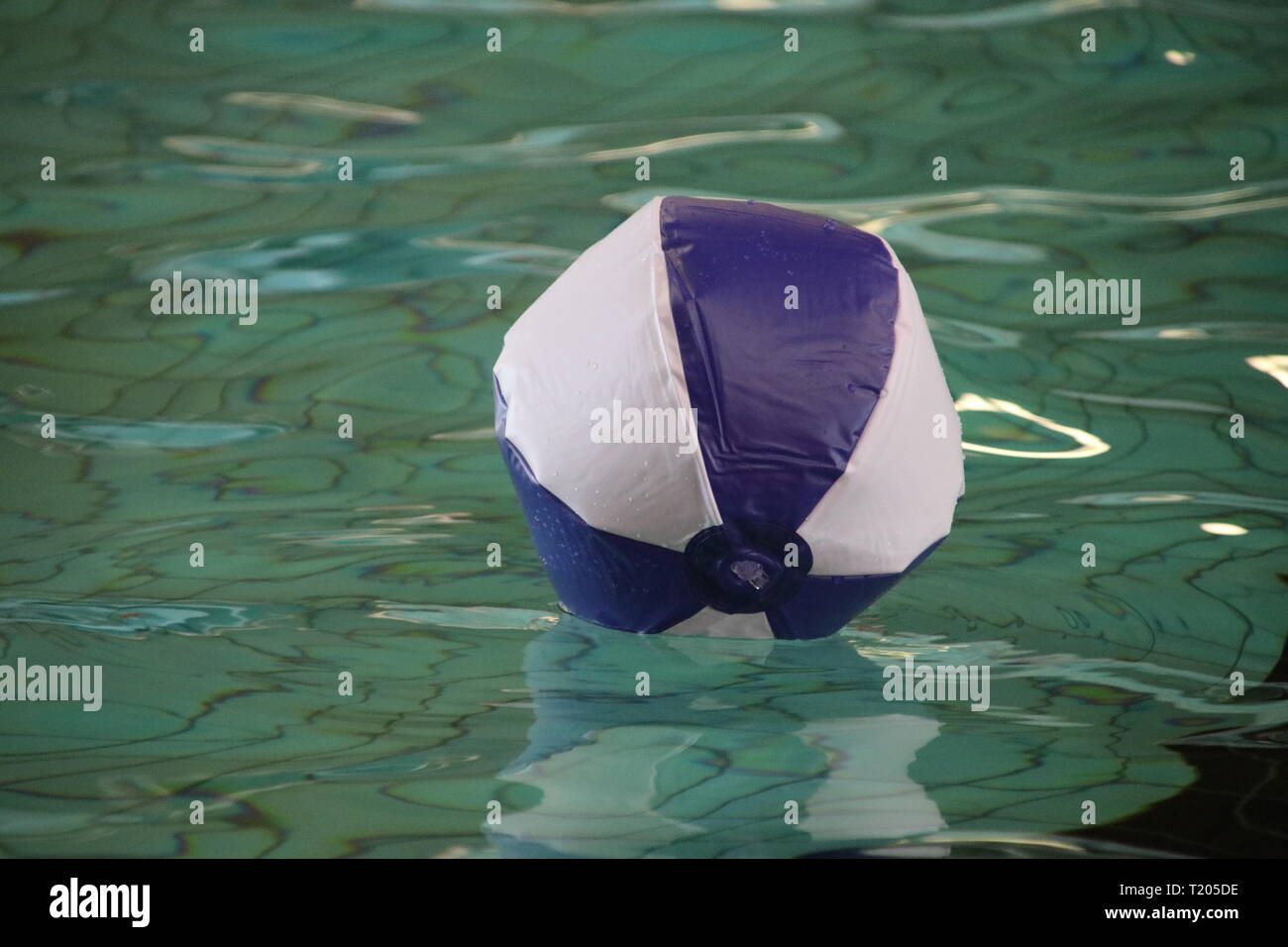 White and blue beach ball is floating on the water surface of a indoor