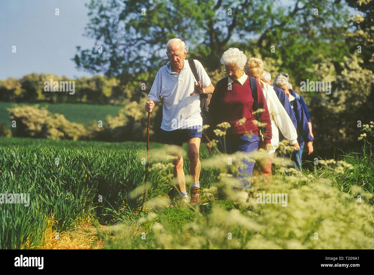 Mature ramblers, Lincolnshire Wolds, East Midlands, England, UK Stock Photo