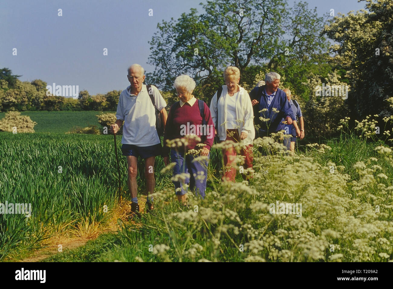 Mature ramblers, Lincolnshire Wolds, East Midlands, England, UK Stock Photo