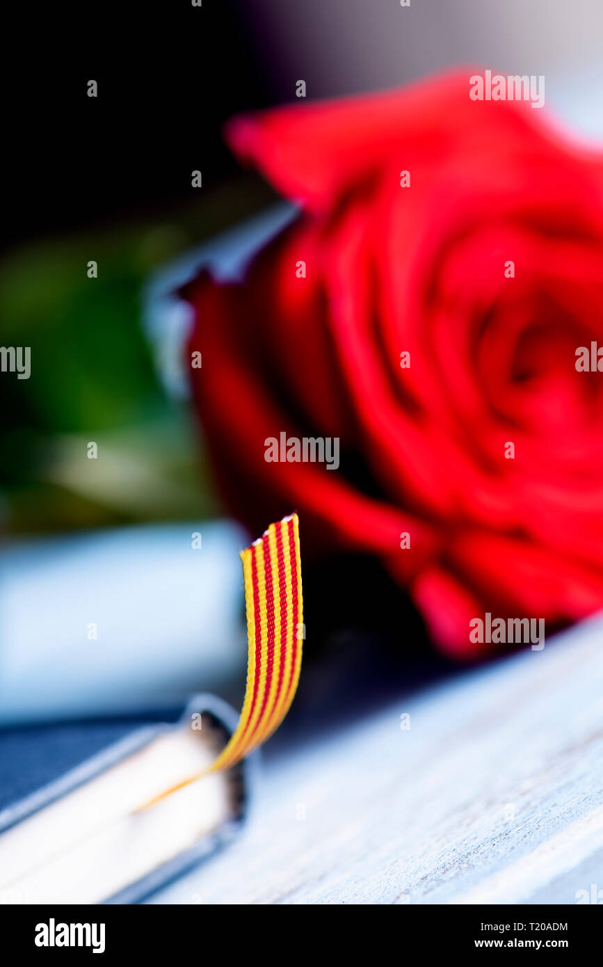 closeup of a catalan flag, a red rose, and a book for Sant Jordi, the Catalan name for Saint George Day, when it is tradition to give red roses and bo Stock Photo