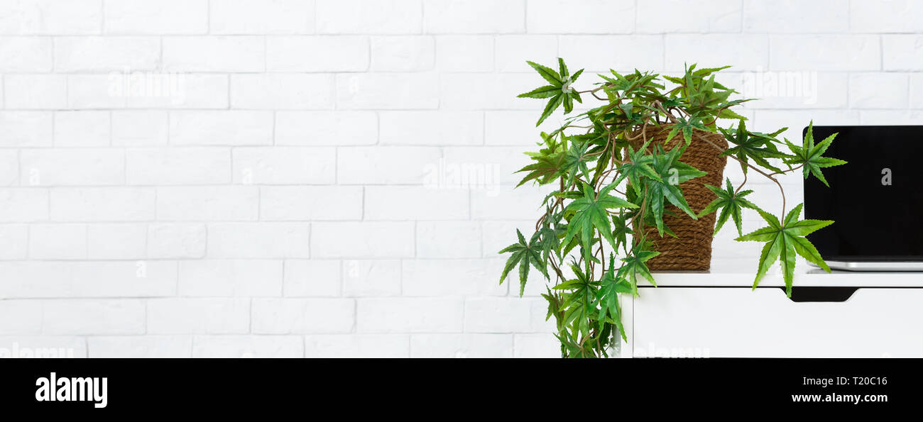 Laptop and pot with home plant on desk at white brick wall background, copy space. Green decor on working place concept Stock Photo