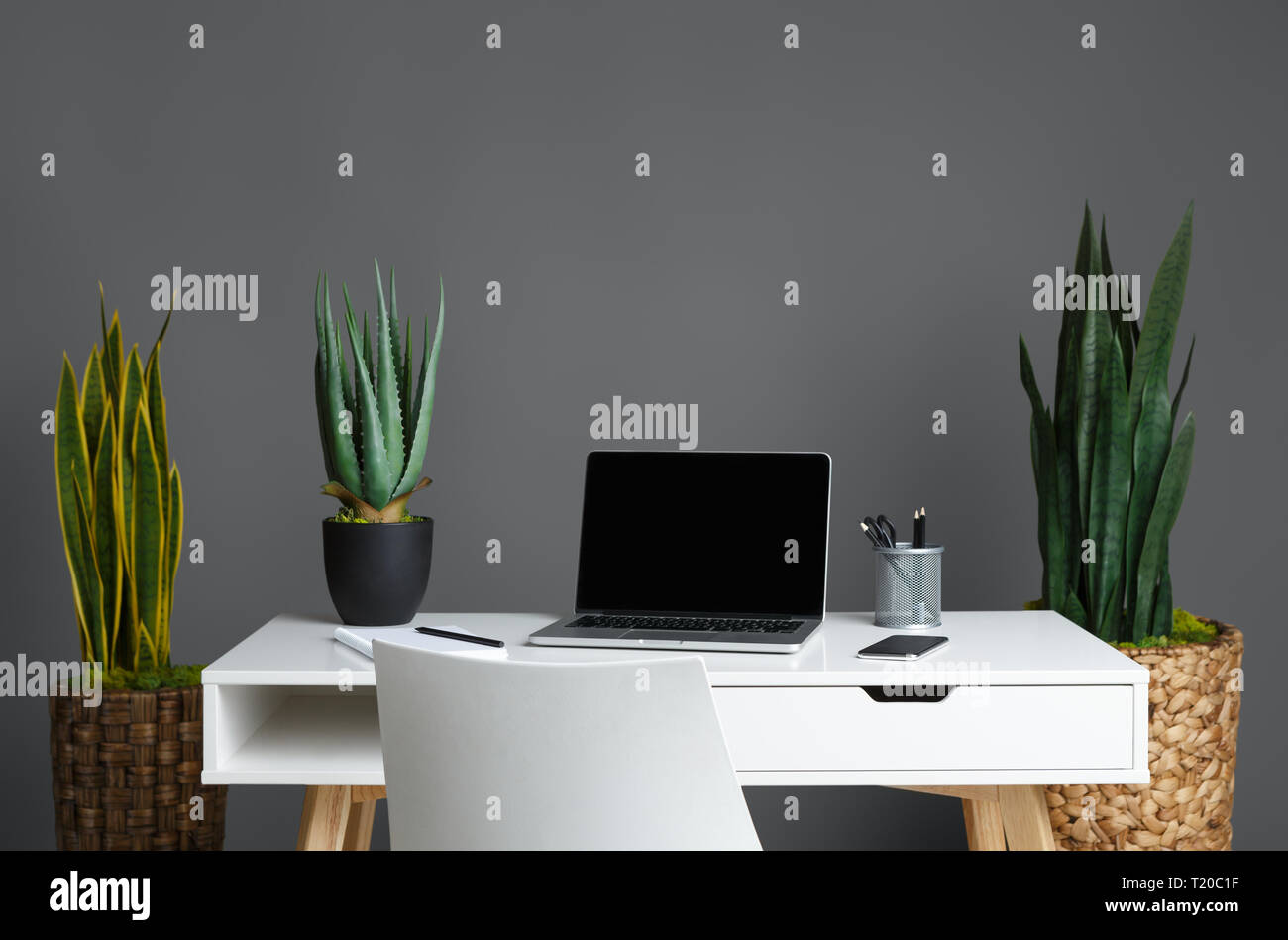 Office Table With Laptop And Home Plants On Grey Background