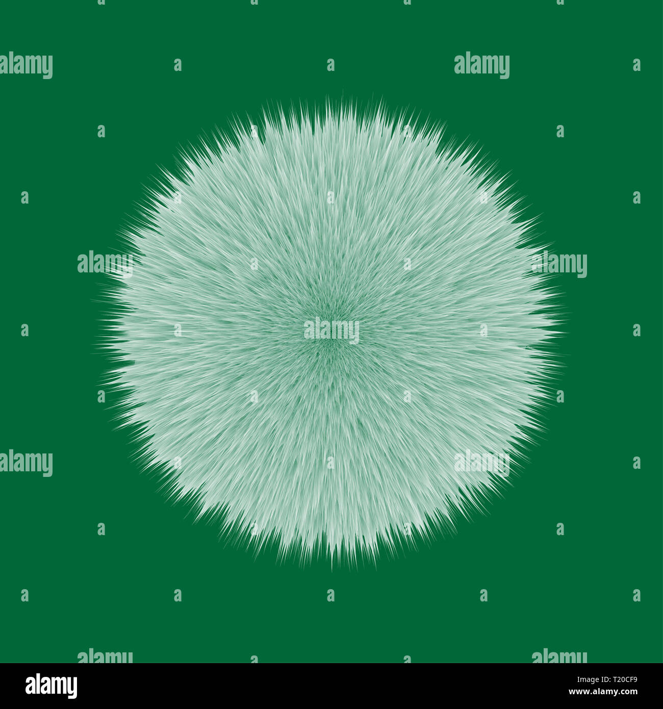Pom Pon High Resolution Stock Photography and Images - Alamy