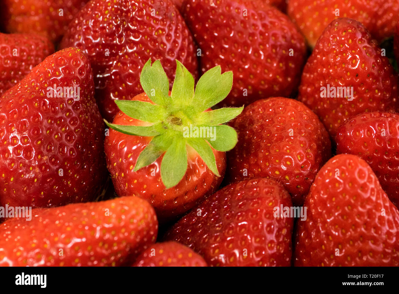 Full frame strawberries hi-res stock photography and images - Alamy