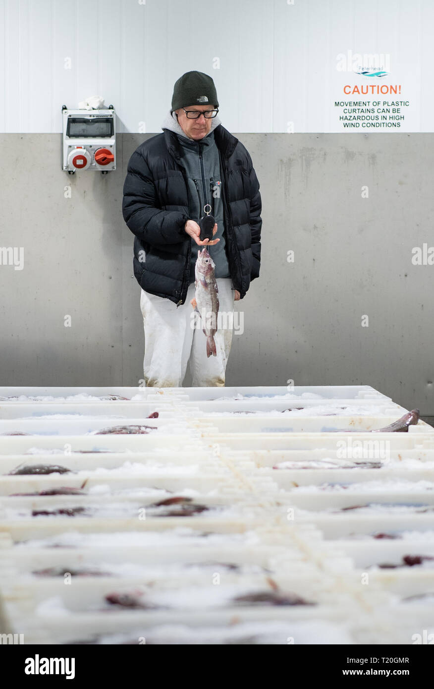 A fish merchant views trays of fish at Peterhead Fish Market in
