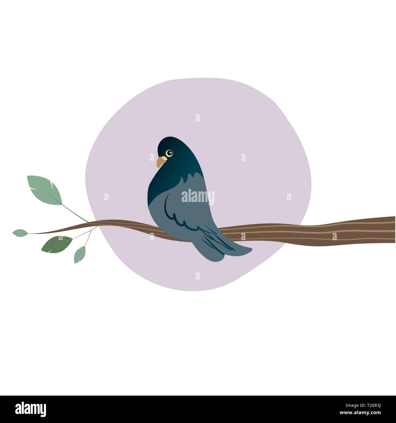 Cute Dove on a branch isolated on white background Stock Vector