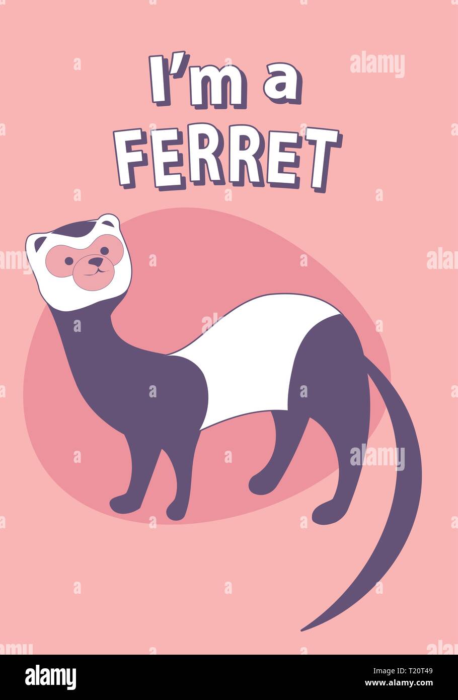 Ferret Wallpapers  Animals Town