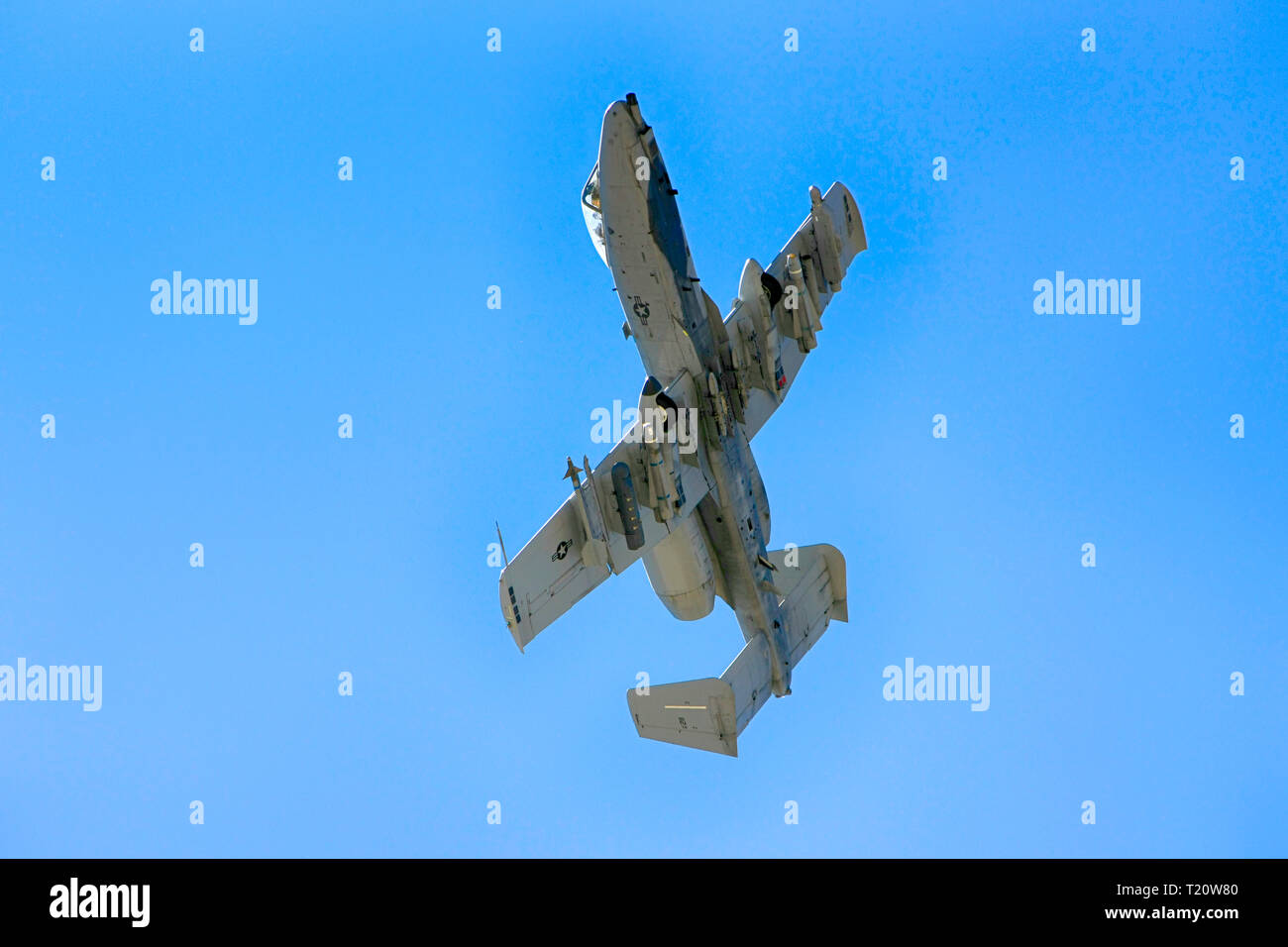 Modern A-10 Warthog tankbuster fighter plane of the US Air Force at the Davis-Monthan AFB in Tucson AZ Stock Photo