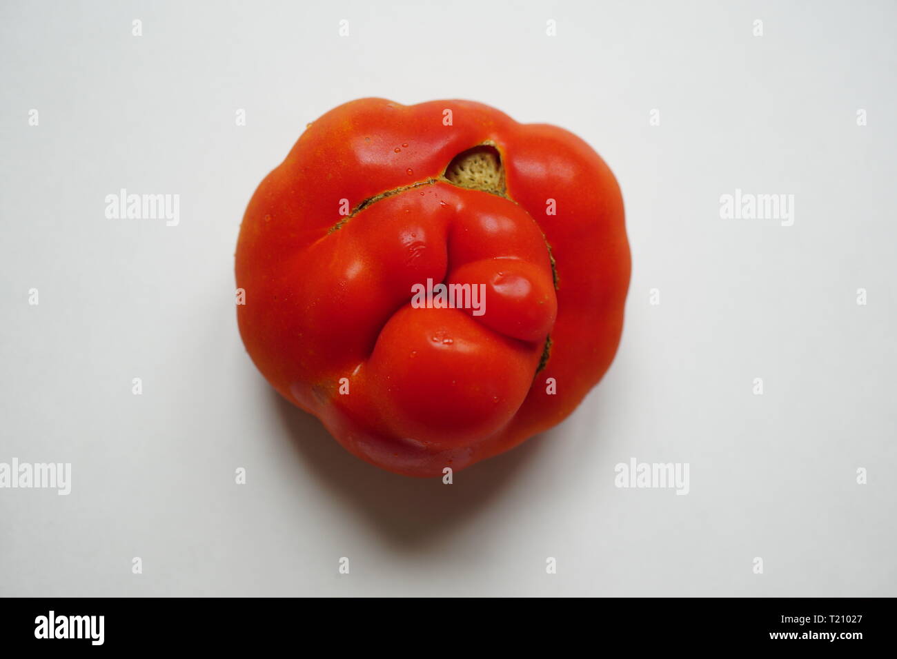 Underside of  Costoluto Genovese tomato (Italian tomato) Stock Photo