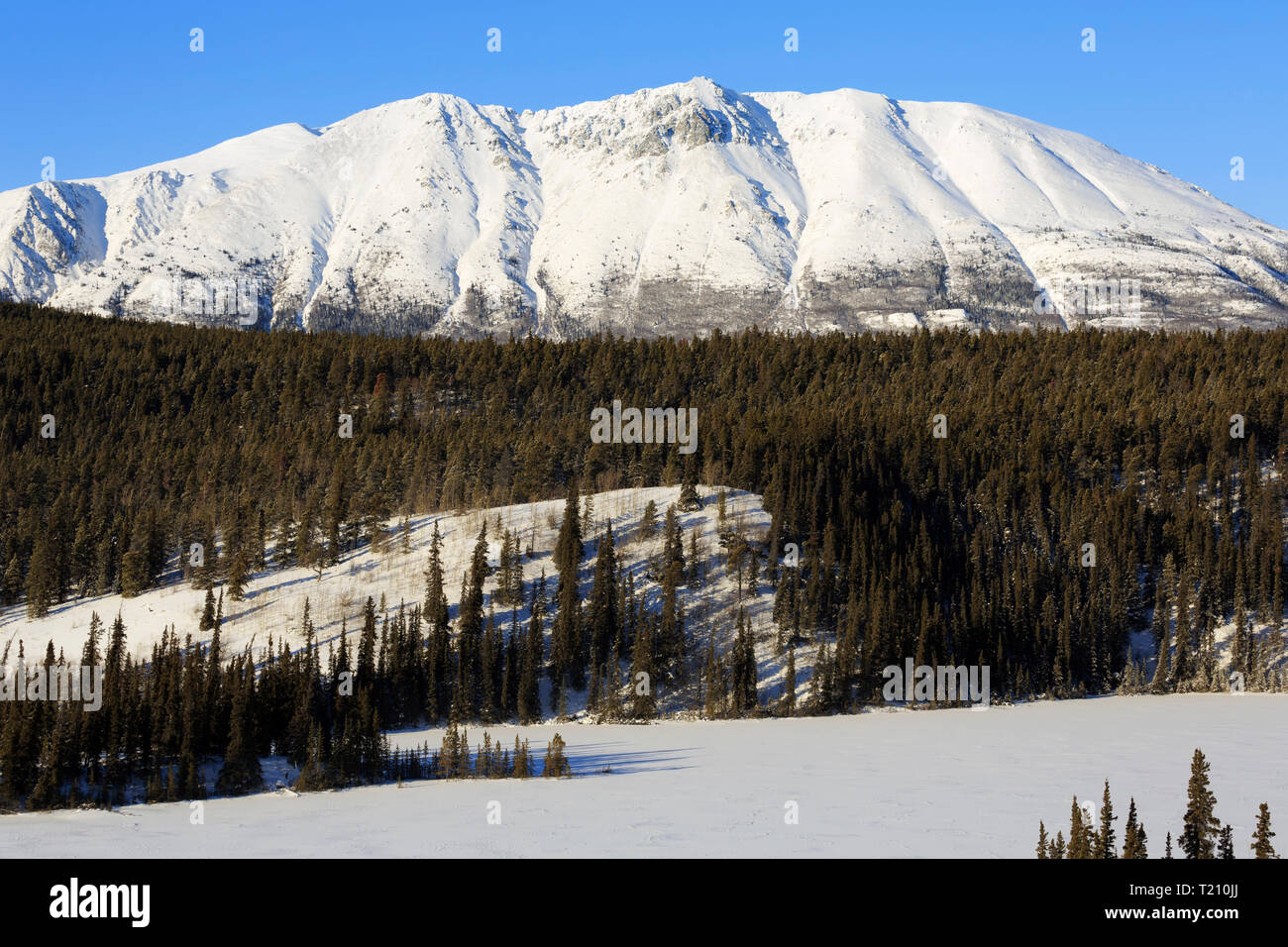Emerald Lake, Yukon, Canada Stock Photo Alamy