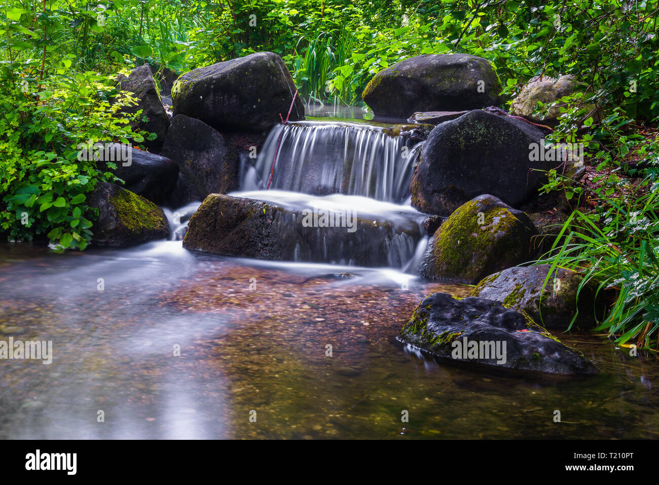 Little waterfall in the forest with rocks Stock Photo - Alamy