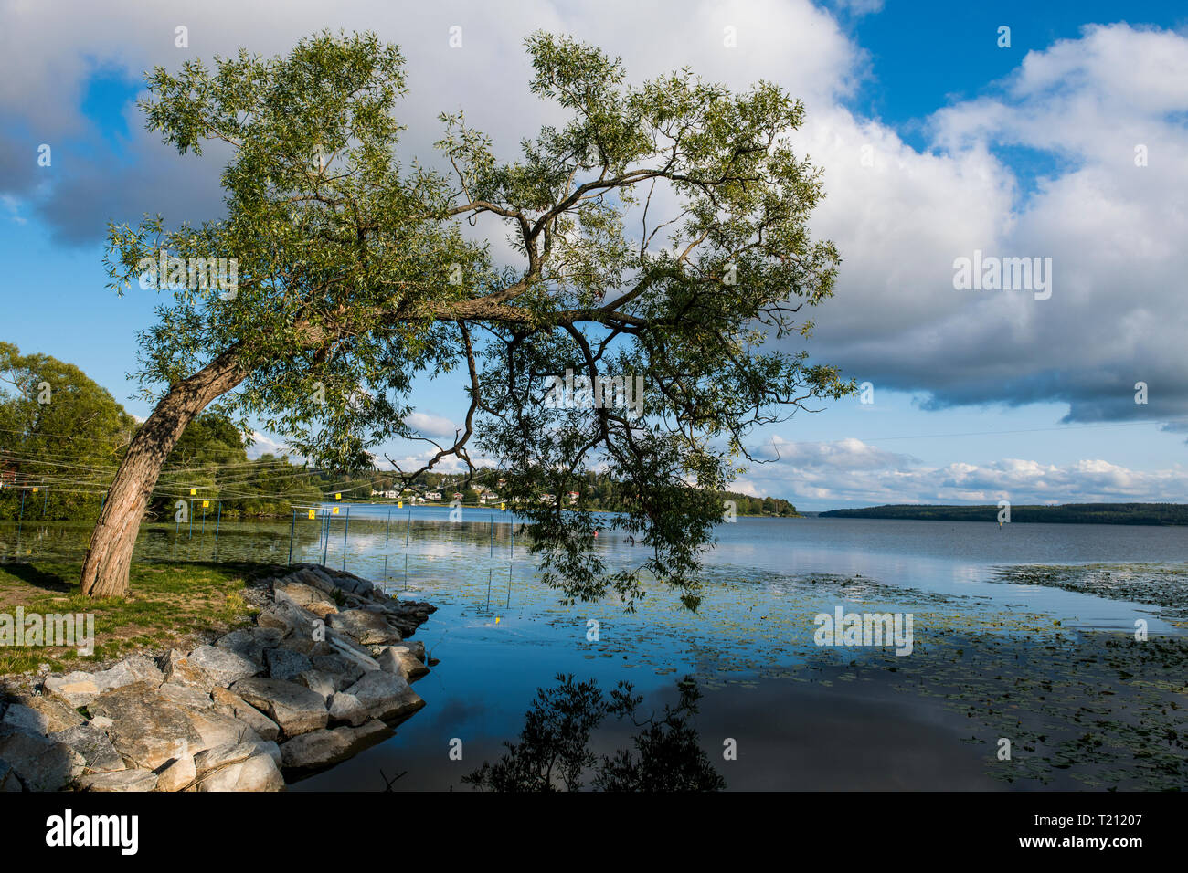 Sweden, Sigtuna, Park on Malaren lake Stock Photo