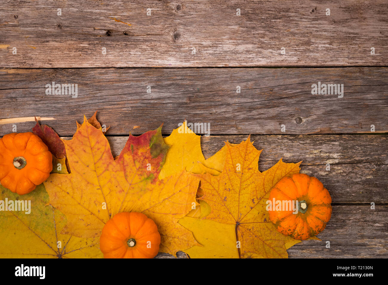 Autumn background with leaves and mini pumpkins on rustic wooden table ...