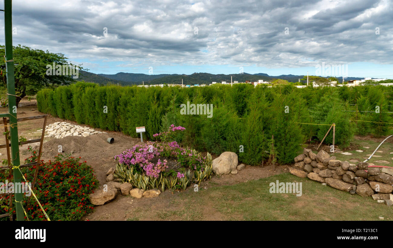 paisaje con bello jardin verde piedras y flores con cielo azul Stock Photo
