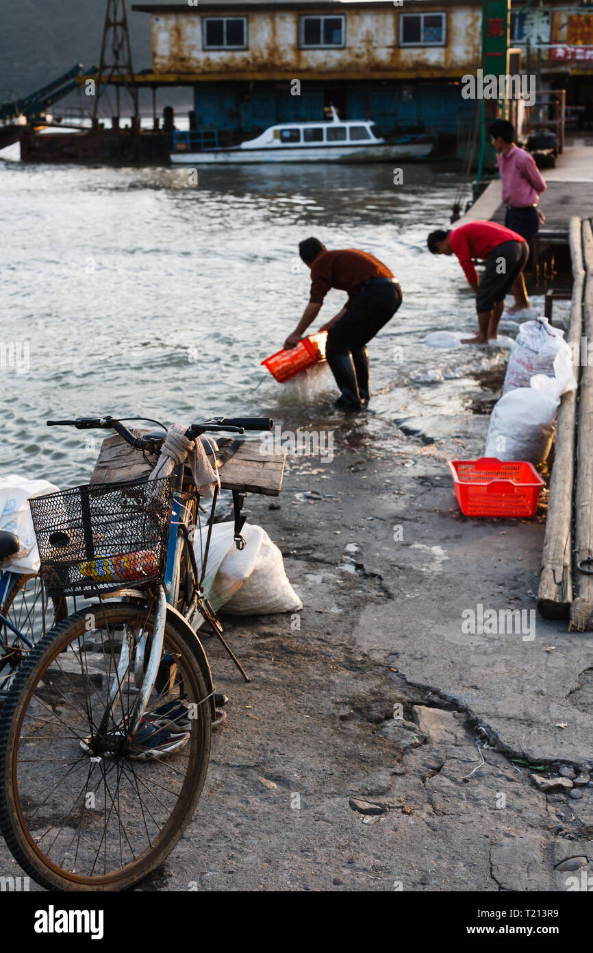 Men cleaning garlic crop in baskets by riverside Stock Photo Alamy