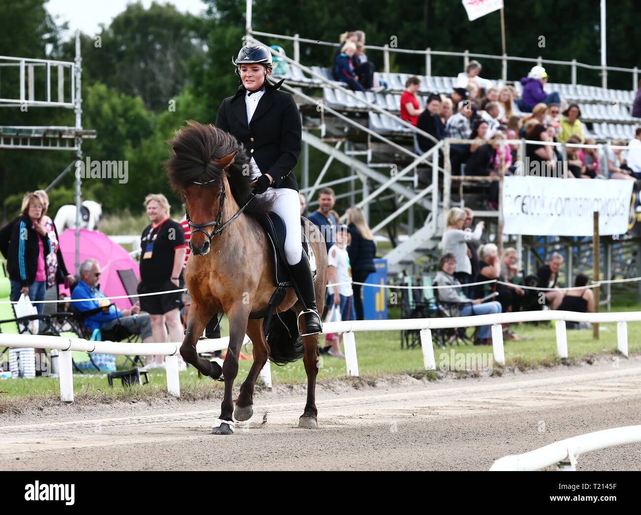 mocka hobby horse