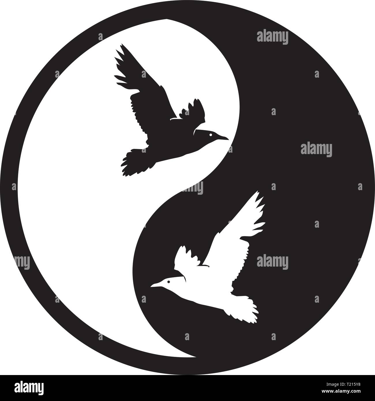 Life cycle of pigeon Stock Vector Images - Alamy